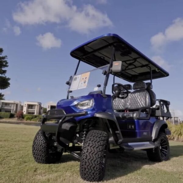 Eco Cruiser Pro 2 plus 2 seater
