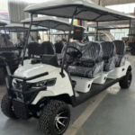 Eco Cruiser Elite 6 seater - Image 2